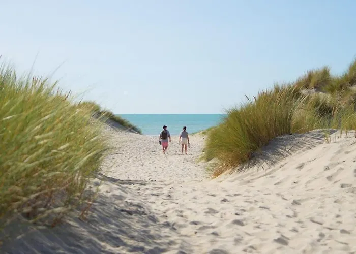 La Bellerose à La Côte D'opale * Beutin